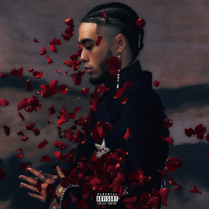 又黄又爽又嫩视频网站
